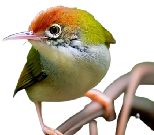 Hero Image
